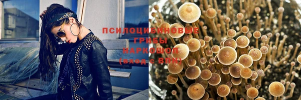 гидропоника Пересвет